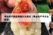 壽山石產(chǎn)地在我國什么地方（壽山石產(chǎn)于什么地方）