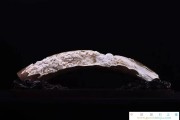 蔡奇龍《鶴鹿同春》| ?“第二屆福建省民間文藝山茶花獎·優秀民間工藝美術作品”專題