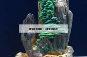 雅安綠值錢嗎	（雅安綠缺點(diǎn)）