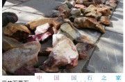 巴林雞血石一般多少錢(qián)一克 巴林石貴么？