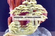 雅安綠凍石騙局（四川雅安綠石有收藏價(jià)值嗎）