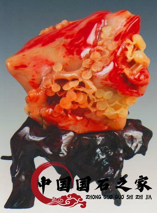 巴林雞血石哪種好？雞血石價(jià)錢