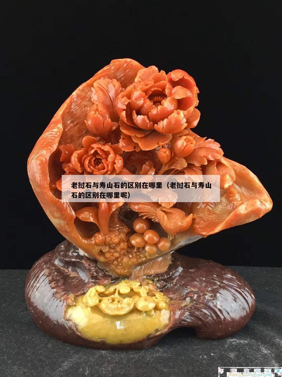 老撾石與壽山石的區(qū)別在哪里（老撾石與壽山石的區(qū)別在哪里呢）