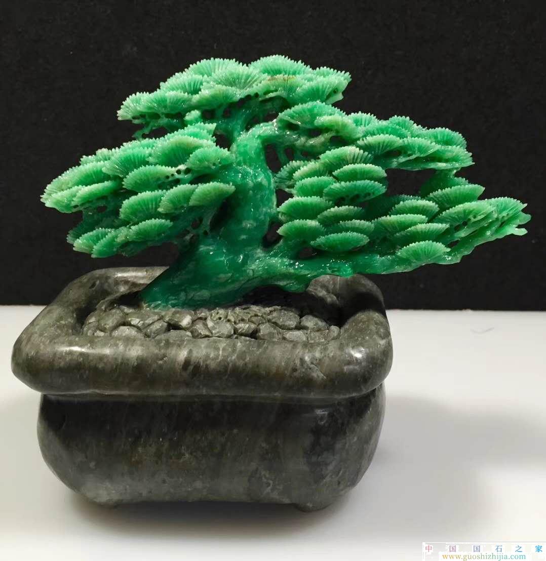 雅安新綠和老綠區別（雅安綠貼吧）