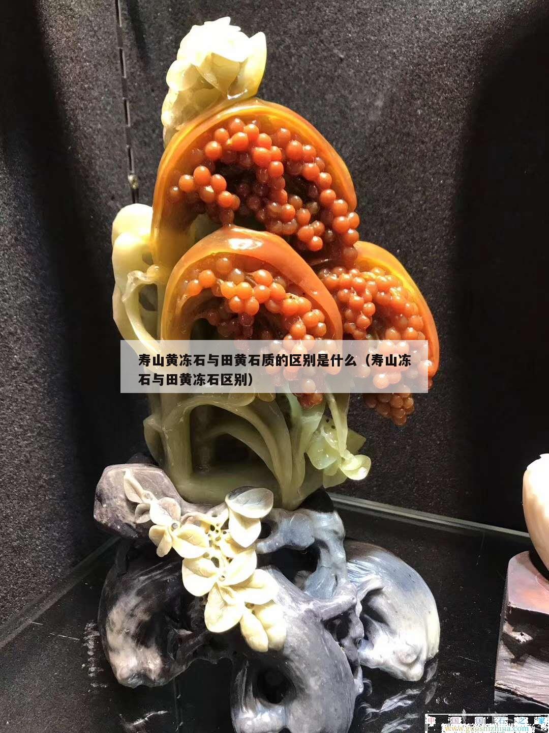 壽山黃凍石與田黃石質(zhì)的區(qū)別是什么（壽山凍石與田黃凍石區(qū)別）