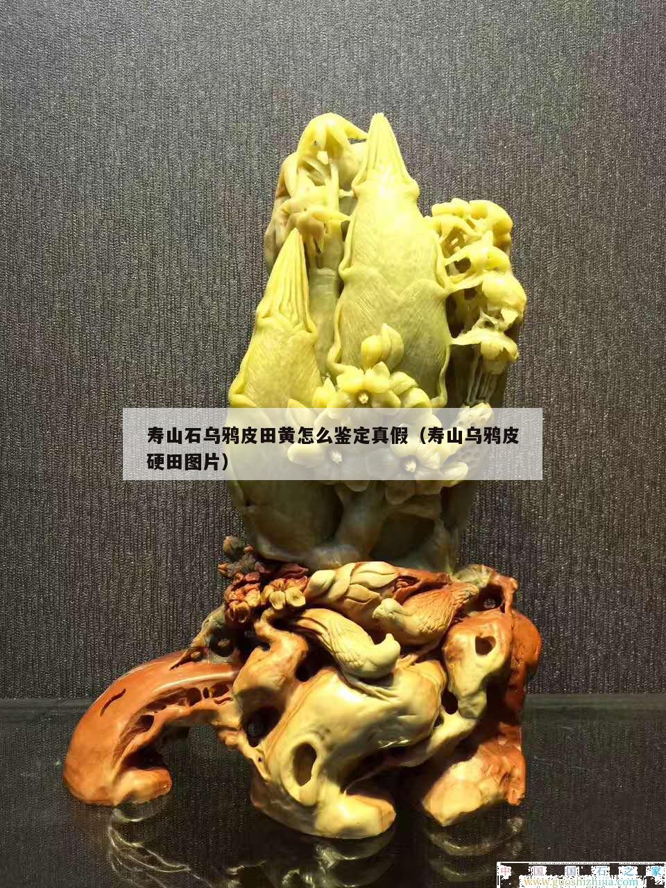 壽山石烏鴉皮田黃怎么鑒定真假（壽山烏鴉皮硬田圖片）