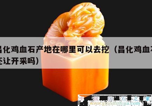 昌化雞血石產地在哪里可以去挖（昌化雞血石還讓開采嗎）