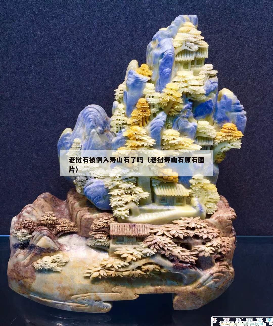 老撾石被例入壽山石了嗎（老撾壽山石原石圖片）