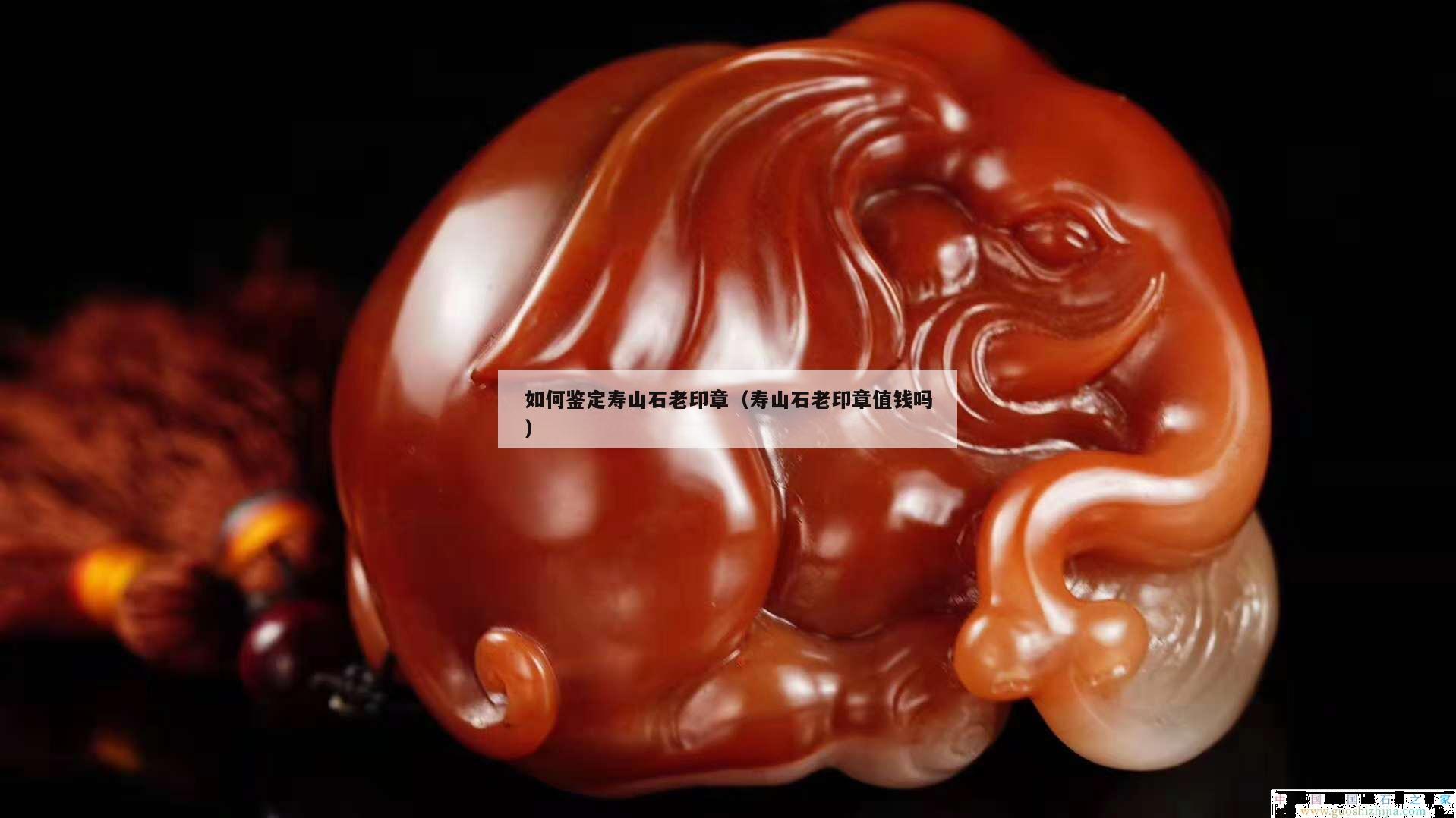 如何鑒定壽山石老印章（壽山石老印章值錢嗎）
