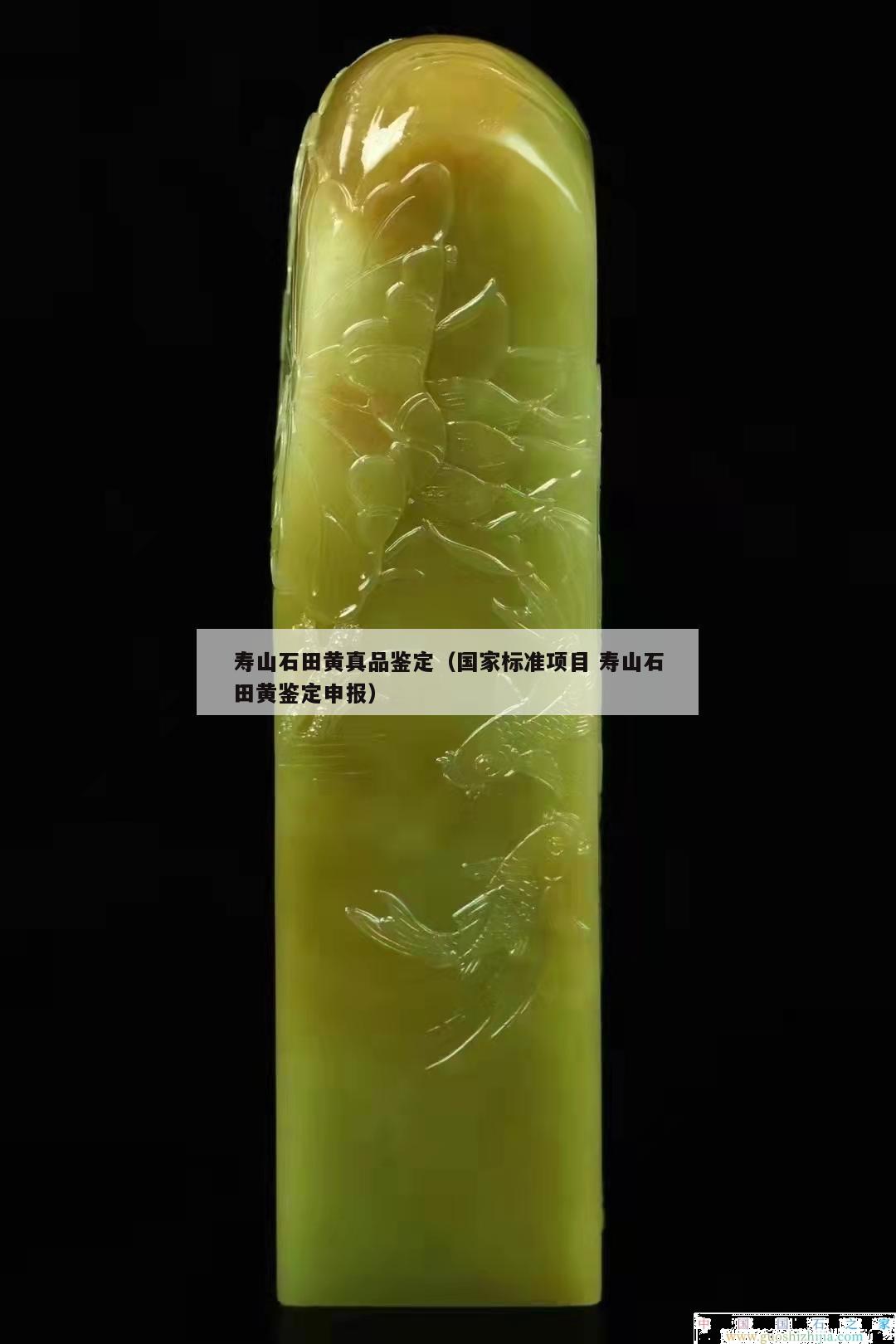 壽山石田黃真品鑒定（國(guó)家標(biāo)準(zhǔn)項(xiàng)目 壽山石田黃鑒定申報(bào)）