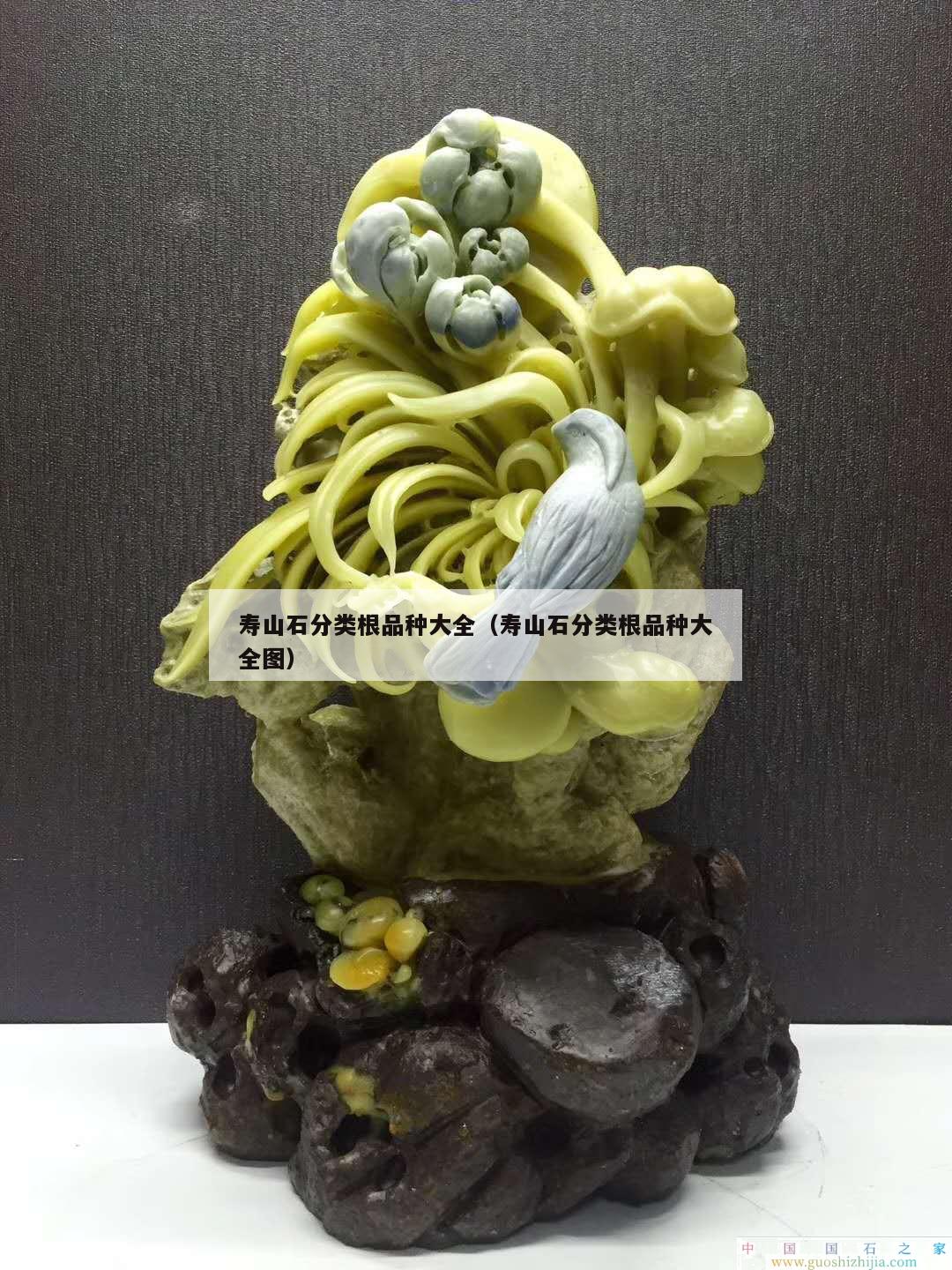 壽山石分類根品種大全（壽山石分類根品種大全圖）