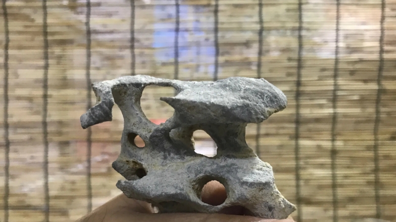 太湖石怎么盤玩
