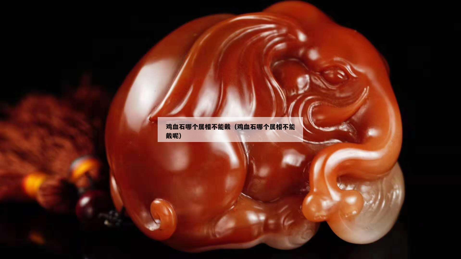 雞血石哪個(gè)屬相不能戴（雞血石哪個(gè)屬相不能戴呢）
